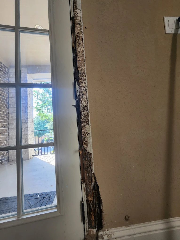 Termite damage found in wood trim